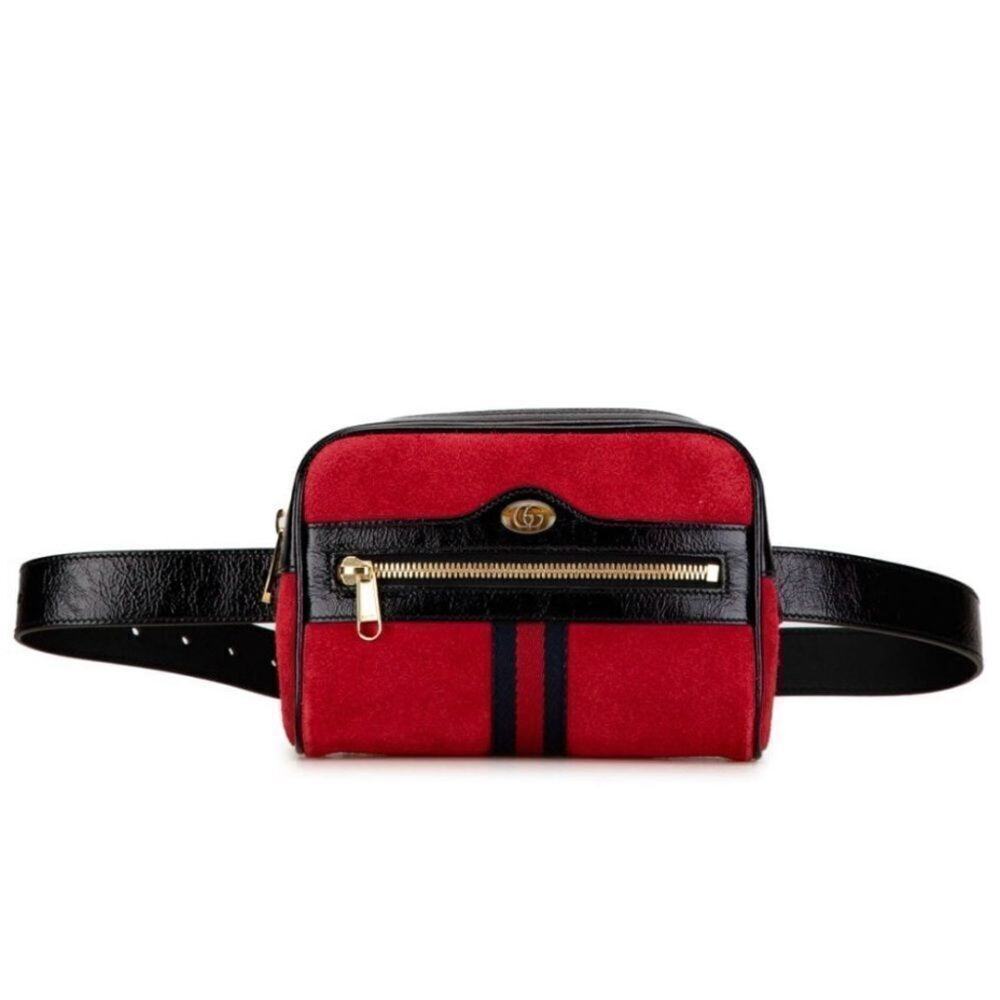 Gucci beltbag ophidia